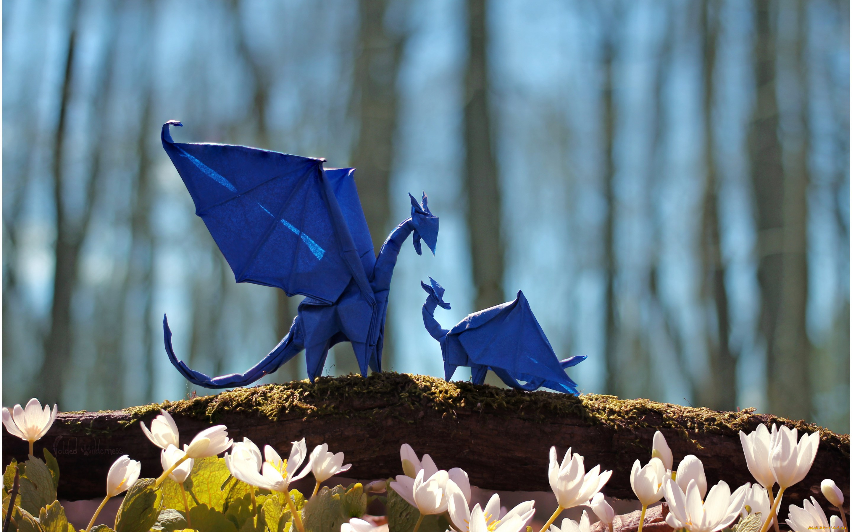 , ,  ,  , blue, , , , , , , bokeh, forest, , , dragons, trees, puppy, branch, flowers, mother, 